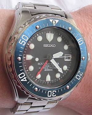 Top 61+ imagen seiko scubamaster stingray