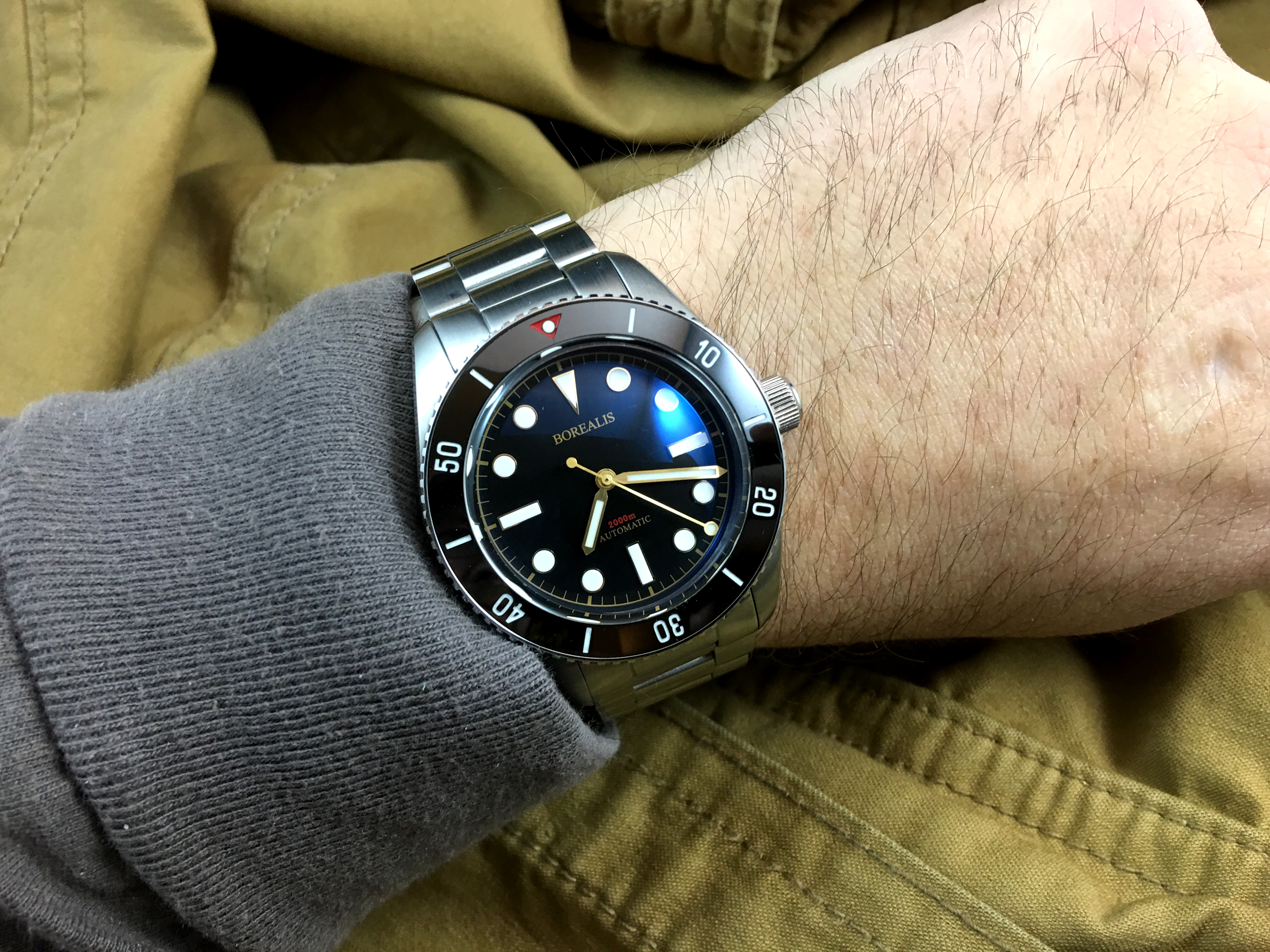 Bull shark watch clearance