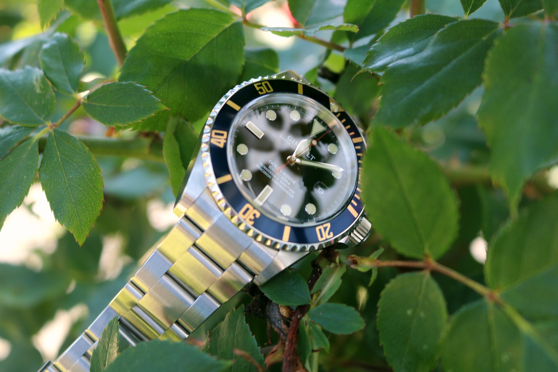 Ginault Ocean Rover Blue Gold