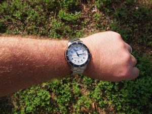 fortis-b-42