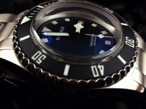 borealis-sea-hawk