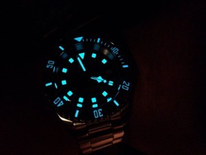 borealis-sea-hawk