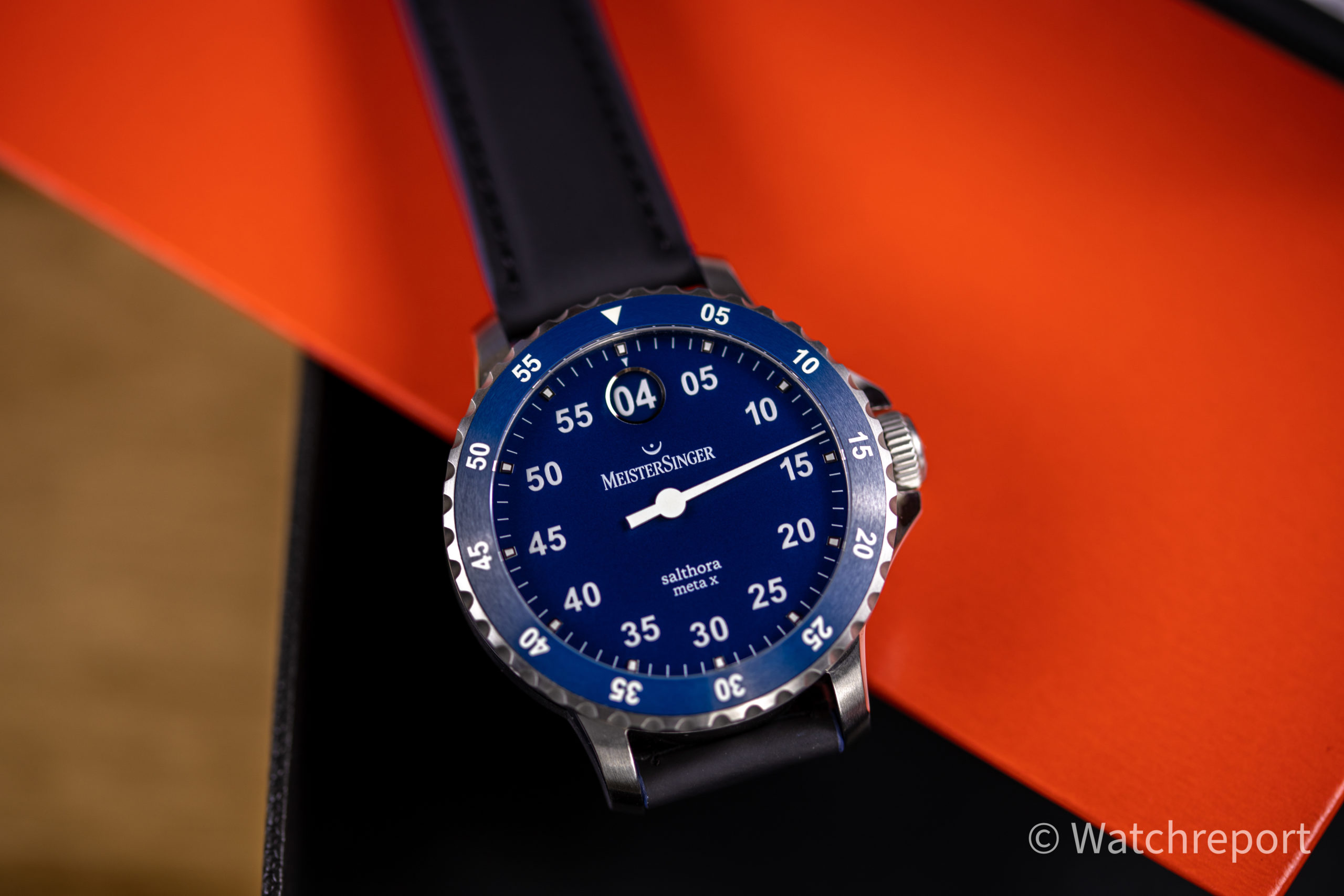 Meistersinger salthora meta discount x