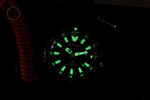Citizen Promaster Fugu